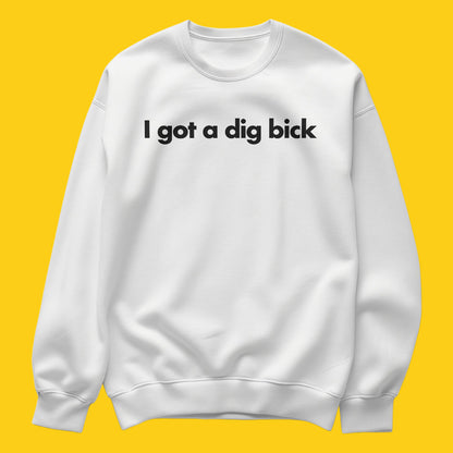 Digbick sweatshirt